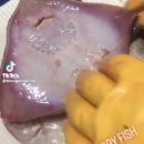 아싸가오리 이미지