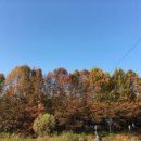 청계산공인중개사사무소 이미지