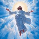 청춘다실 | 시간이 절대 이길 수 없는 게 있어