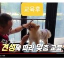 아껴줄개 이미지