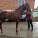 명성목장 이미지