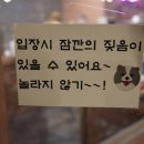 오독스(O-DOX) 이미지