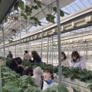 하준농장 이미지