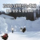눈꽃여행 | 강원도 여행 | 태백산눈꽃축제 정보 총정리 &amp; 방문후기