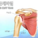예스병원용인분당점 이미지