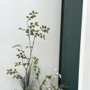 산책길(반려동물 미용실) 이미지