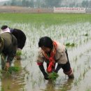 김동표 농장 이미지