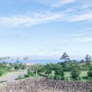 마레보야외수영장 이미지