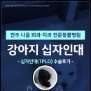 나음동물메디컬센터 이미지