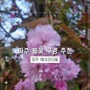 파주 헤이리마을 가족나들이 후기 - 봄꽃 만개한 헤이리갈대광장에서 힐링했어요!