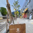 회원동219 이미지