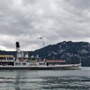 푸르고IM | 스위스 루체른에서 리기산 가는 법 유람선 시간표 산악열차 웹캠 리기산 날씨 폭우 하이킹