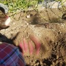 하얀배 민박 이미지