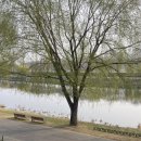 오천광장 오천언덕 화장실 이미지