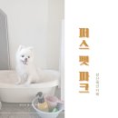퍼스동물병원 | 양산애견카페 포토존 넘침주의 &#39;퍼스 펫 파크 양산점&#39;