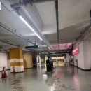 달빛안경원 | &#39;안경정원&#39; 8공구 송도안경점 방문 후기 돋보기부터 패션 안경까지!