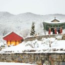 외국인 것 같지만, 한국이에요. 매력적인 겨울철 서울 근교 여행지 이미지