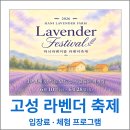 고성 라벤더 축제기간과 입장료 체험 프로그램 하늬라벤더팜