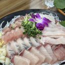 바다나라 | 가락시장맛집 바다나라 수산시장 방어회 후기 내돈내산