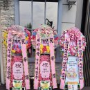 꽃;그린피아