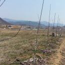 민이네농장 이미지