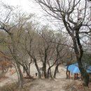 선인5리 이미지