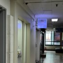 쌍용자동차서비스프라자안산점 | 안산 앙금플라워 떡케이크 전문점 루디테이블 만족 후기