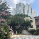 우성유치원 이미지