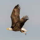 용지호수공원 이미지