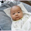 (주)백일 Daum카페
