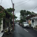 산타나모텔 | [발리 3주 여행 후기] 우붓 숙소 - santana bali home stay(산타나 발리 홈 스테이)