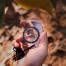 제이엔티 이미지