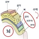 동탄24시동물의료센터