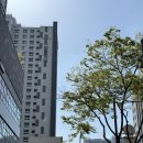 [대구 숙소] 동성로 도보 5분 스타비앤비 숙소 내돈내산 방문 후기(에어비앤비 감성숙소 예약)