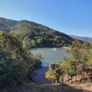 옥성칼국수 이미지