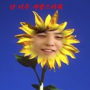 더끌리지