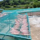 보경수산 이미지