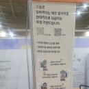 2026 제주잇수다 첫날 풍경과 후기