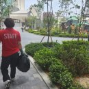 제일파출부 네이버블로그