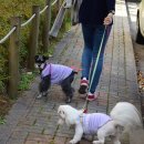 동인동물병원 이미지