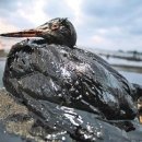 당곡작은도서관 이미지