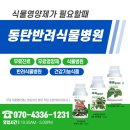 강화식물병원 이미지