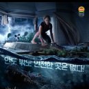 크롤크롤
