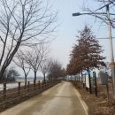 경기 광주 당일여행, 팔당물안개공원 산책