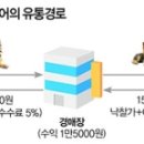 대전경매장