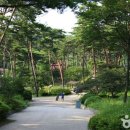 동구 자전거쉼터 이미지