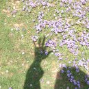 시골이야기 이미지