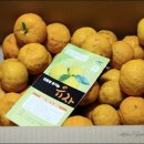 경천 농장 이미지