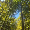 김대감 숯불구이 이미지