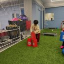 다산 체육관 이미지